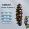 晓芹 大连淡干海参 45g 13-15只 辽刺参 海参干货 中秋礼盒 /粮油调味 /南北干货 /干海参 商品缩略图0