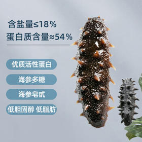 晓芹 大连淡干海参 45g 13-15只 辽刺参 海参干货 中秋礼盒 /粮油调味 /南北干货 /干海参