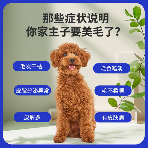 派丽美汉维宠仕鱼油营养膏5g*10袋猫咪狗狗滋养皮毛健康 商品图1