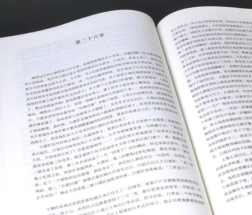 《白鹿原》，精装，16开，陈忠实著，雷达评点，文化艺术出版社2010年一版一印，446页，定价39.8元，售价19.8元。品相95成。 商品图7