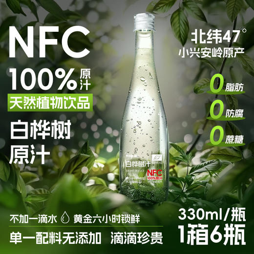 九珍十八品零定律·甄饮330ml*6瓶白桦树汁 商品图3