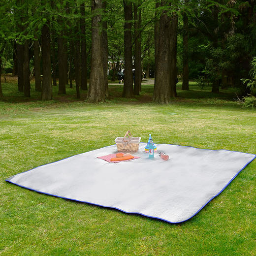 纵贯线多功能野餐垫CD-21 商品图0