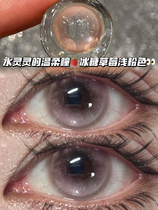 南风豆沙奶茶粉·半年抛型 商品图0