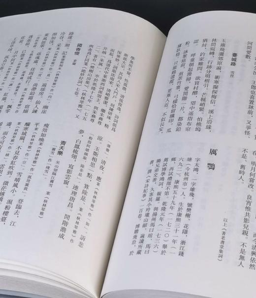 《全清词 雍乾卷》，精装，32开，全16册，张宏生编，南京大学出版社2012年一版一印，定价1600，售价358元。 商品图7