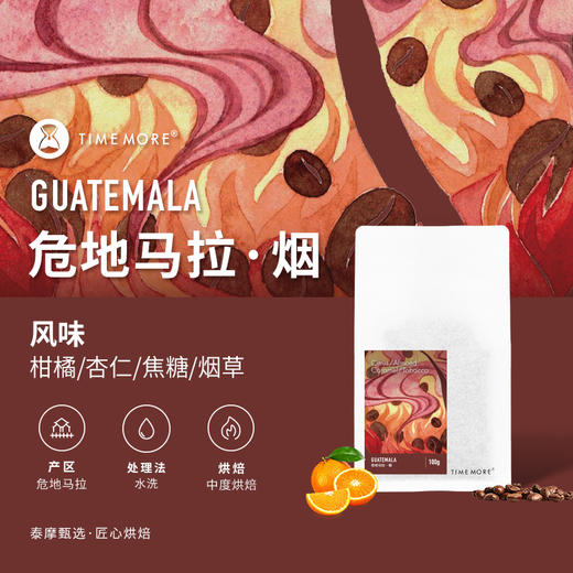 泰摩咖啡危地马拉烟阿拉比卡豆种水洗中烘手冲咖啡豆单品咖啡100g 商品图0