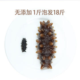 參品惠俄罗斯进口野生淡干海参正品干货国标一级18倍泡发50克 /粮油调味 /南北干货 /干海参