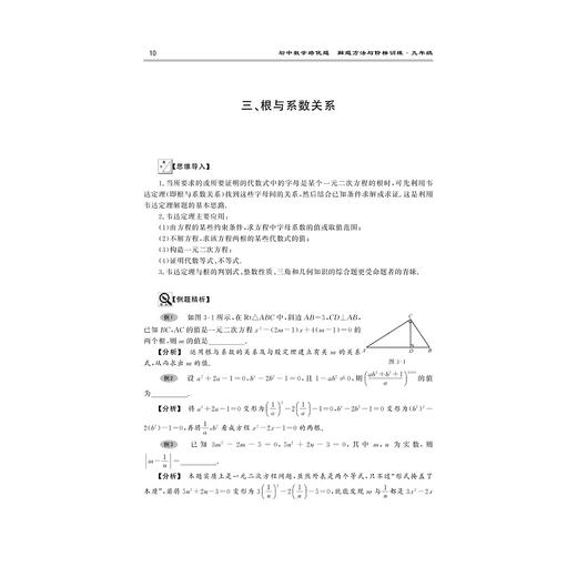 初中数学培优题解题方法与阶梯训练（七八九年级） 商品图4
