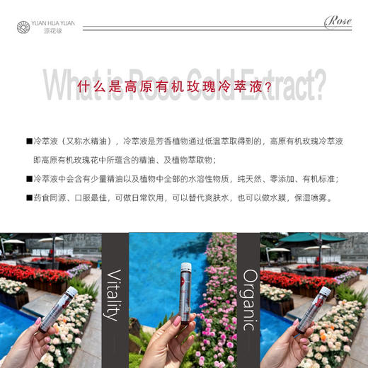 高原玫瑰花冷粹液雪山玫瑰冷萃液0卡无糖 商品图3