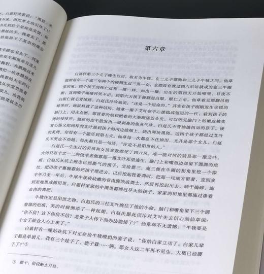《白鹿原》，精装，16开，陈忠实著，雷达评点，文化艺术出版社2010年一版一印，446页，定价39.8元，售价19.8元。品相95成。 商品图4