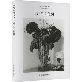 中国当代摄影图录 付羽