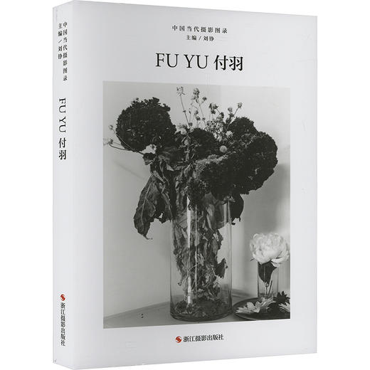 中国当代摄影图录 付羽 商品图0