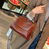 【预售3天】2025新款百搭大容量手提包女枕头包高级感时尚单肩斜挎包5109-D 商品缩略图0