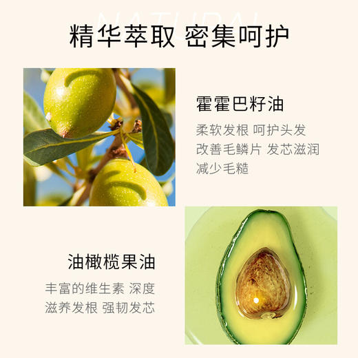 欧贝斯染烫修护精华发膜500g 商品图1