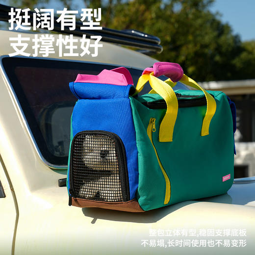 运动斜挎宠物包-B(包邮） 商品图1