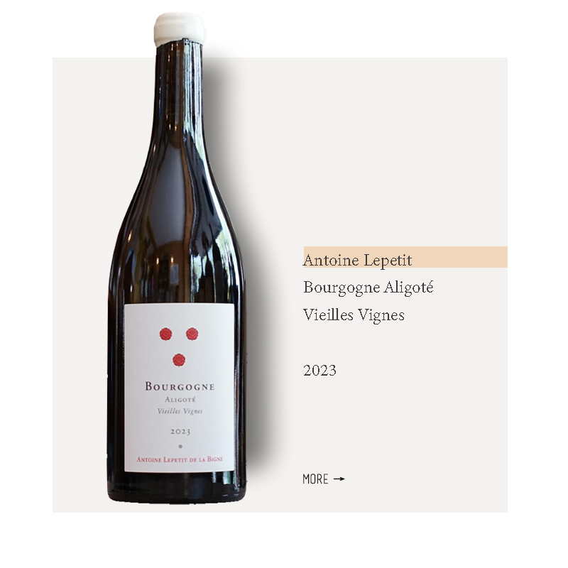 Antoine Lepetit Bourgogne Aligoté Vieilles Vignes 2023圆石酒庄阿里高特老藤干白2023