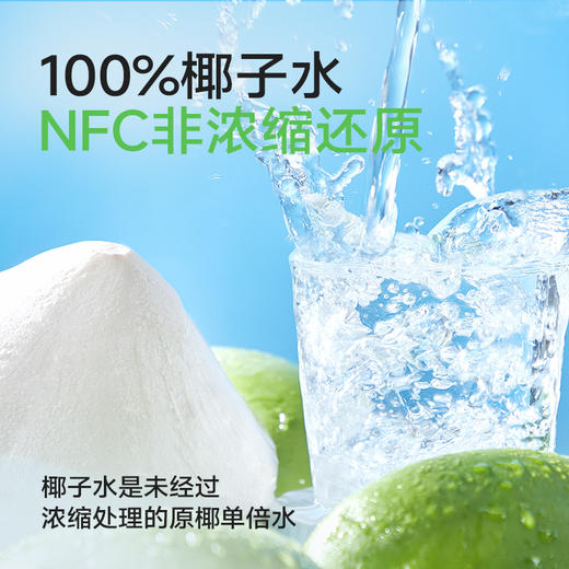 小杨臻选 100%椰子水 0脂天然电解质饮品 245ml*10瓶 NFC纯椰水 商品图1