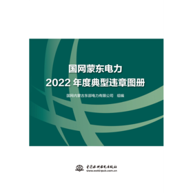 国网蒙东电力2022年度典型违章图册