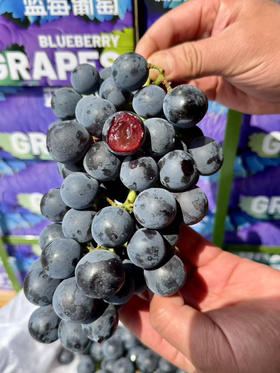 头茬云南夏黑蓝莓葡萄 蓝莓和葡萄的完美结合 ，酸甜口感，一丢丢酸，可以忽略果味浓，净2.5斤/箱