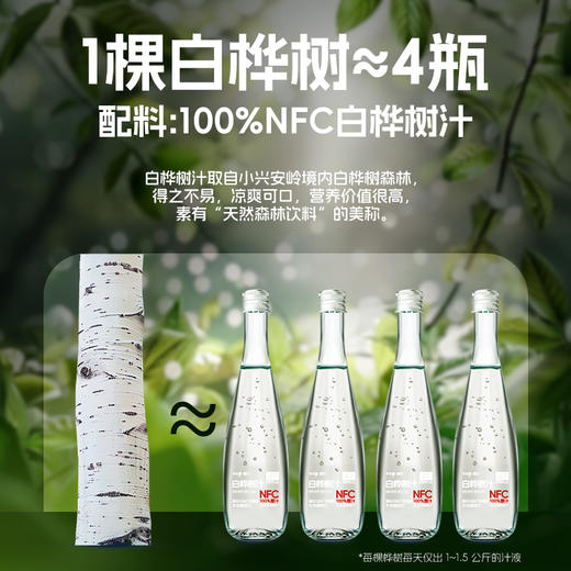 九珍十八品零定律·甄饮330ml*6瓶白桦树汁 商品图2