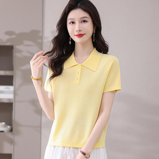 CC-101-31802时尚天丝翻领短袖t恤女2025新款夏季薄款莱赛尔显瘦减龄针织上衣 商品图2