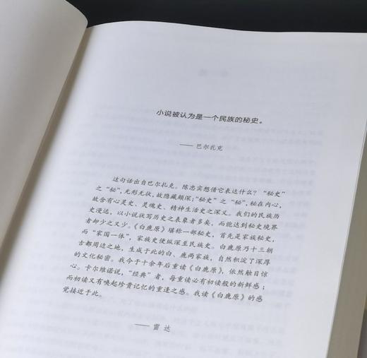 《白鹿原》，精装，16开，陈忠实著，雷达评点，文化艺术出版社2010年一版一印，446页，定价39.8元，售价19.8元。品相95成。 商品图2