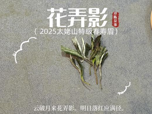 【2025春茶来了】2025一级春寿眉《花弄影》，鲜香到极致、花香到极致，香清气长（80克罐装） 商品图4