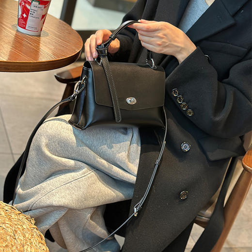 【预售3天】2025夏季新款挎包小众通勤单肩包百搭手提女包8801-D 商品图6