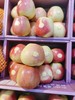 新西兰神仙苹果2斤 商品缩略图2