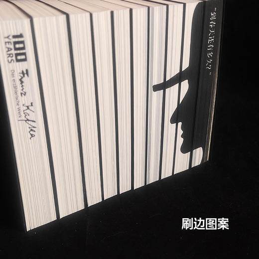 【人文之宝】卡夫卡小说全集文库本1套（10本）通贩版 商品图3