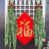 【预售】端午鲜艾挂门  艾草艾蒿   整颗现采 野地生长  长颗艾草叶艾蒿 驱蚊   北京同城 商品缩略图1