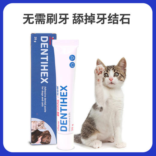 宠齿健汉维宠仕dentihex宠物牙膏狗狗猫咪口腔牙齿清洁牙结石口臭 商品图1