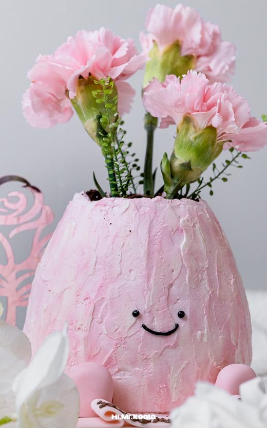 康乃馨盆栽 Jelly cat|母亲节限定 | 昔果 商品图1