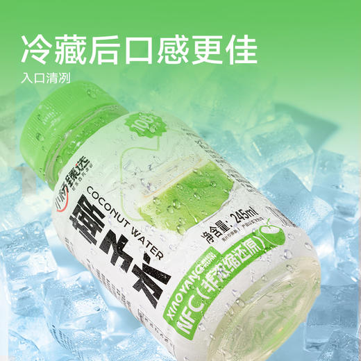 小杨臻选 100%椰子水 0脂天然电解质饮品 245ml*10瓶 NFC纯椰水 商品图3