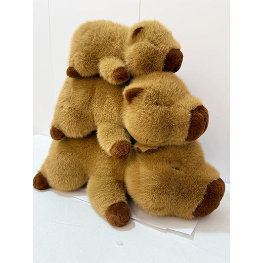 纪念日百货小号玩具25cm趴姿水豚162552334 商品图3