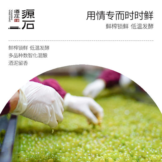 石黛 · 干白葡萄酒 商品图2