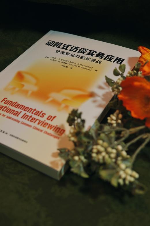 万千心理·动机式访谈实务应用：处理常见的临床挑战 商品图4