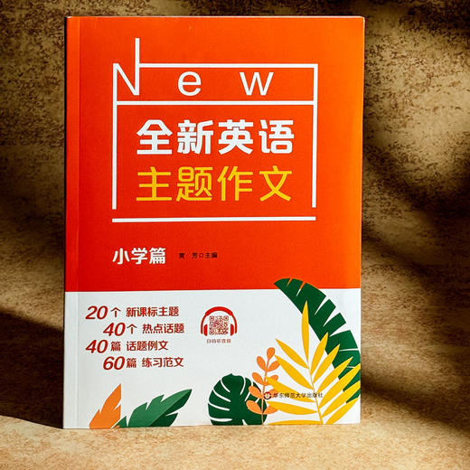 2023全新英语主题作文 小学篇 词汇句型积累 写作技巧 商品图4