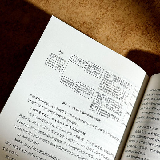 小学数学问题化学习课堂实践手册 问题化学习丛书 小学数学教师 商品图11