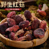 福建龙岩野生红菇王 商品缩略图0