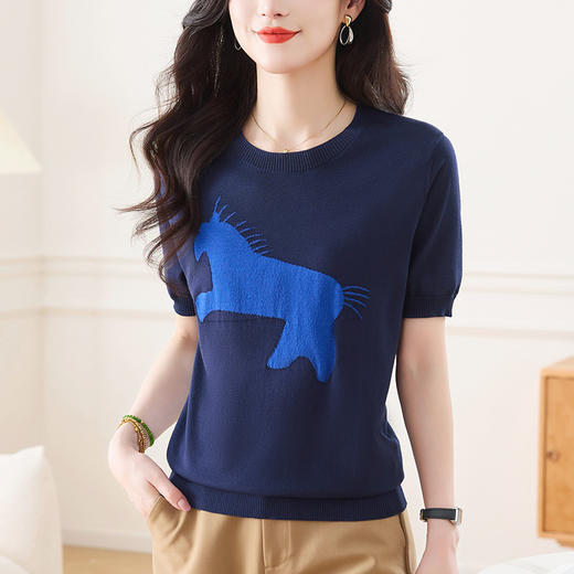 CC-66-2522时髦洋气女士小衫2025新款夏季冰丝短袖上衣宽松短款百搭针织t恤 商品图2