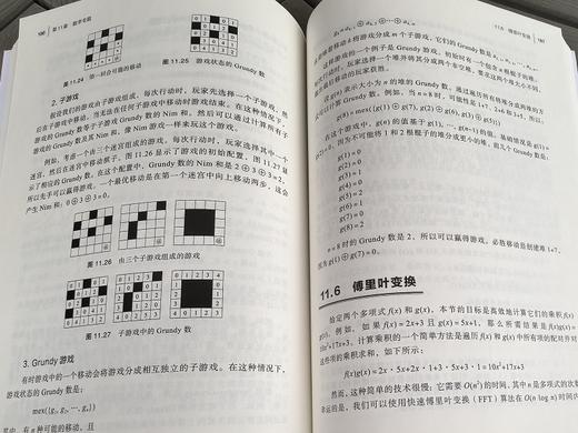 算法竞赛核心教程：策略与算法深度解析 商品图10