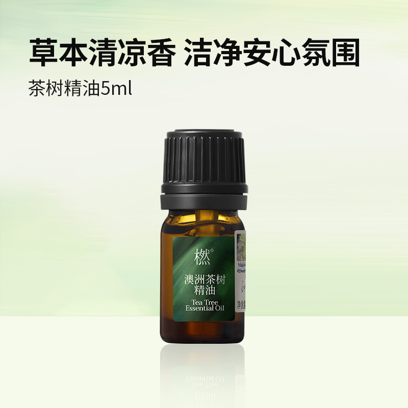 橪茶树精油5ml单方精油
