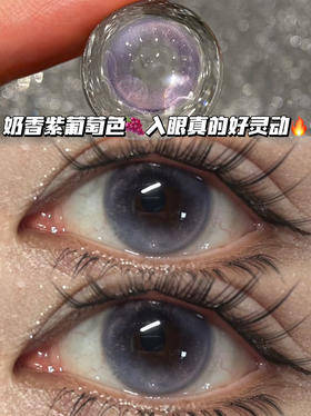 晚月绝绝紫·半年抛型