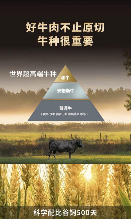 澳洲M7-8和牛眼肉牛排（250g*2） 商品图3