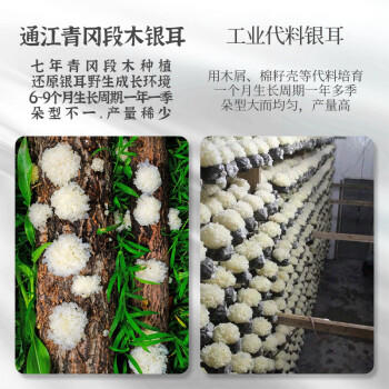 天生贵通江椴木银耳干货无硫四川特产高山生态白木耳孕妇儿童糯雪耳66克 /粮油调味 /南北干货 /菌菇干货 商品图7