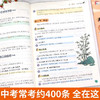 初中文学知识大全【知识点汇总】+【训练手册】（2册） 商品缩略图2