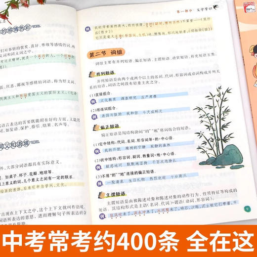 初中文学知识大全【知识点汇总】+【训练手册】（2册） 商品图2