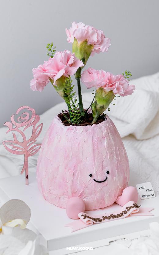 康乃馨盆栽 Jelly cat|母亲节限定 | 昔果 商品图0