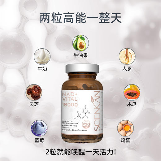 【Scenkan】NAD+18000美国进口NAD+高纯度β-烟酰胺单核苷 新包装 商品图2