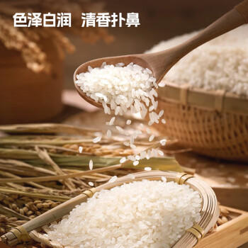 百梁桥五常大米10斤 东北大米5kg 长粒粳米真空2025年新米 热门商品 /粮油调味 /米 /稻花香米 商品图4